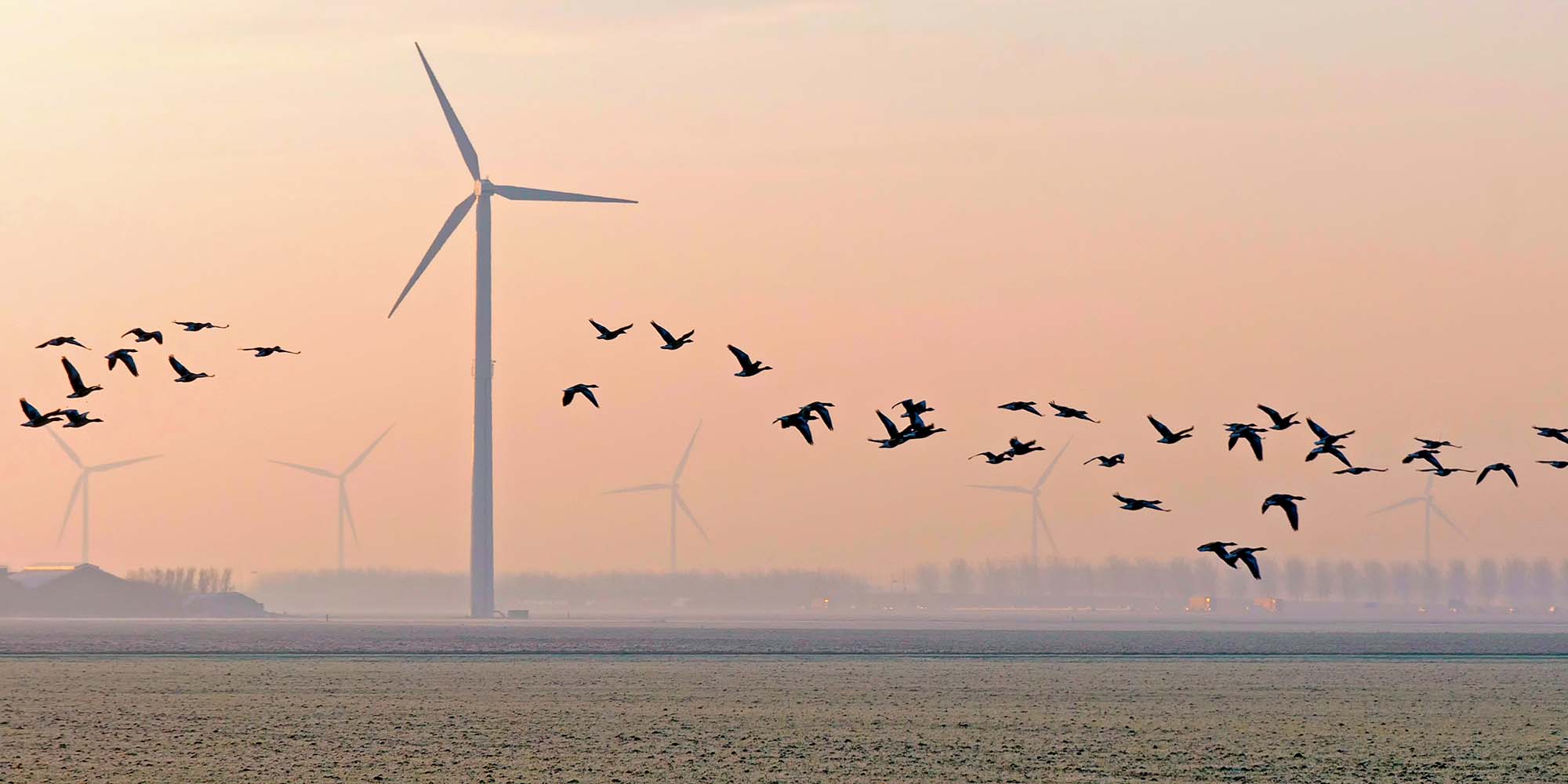 Natura 2000 och artskyddsförordningen