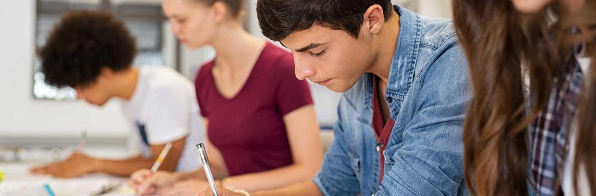 Ärendehandläggning i skolan