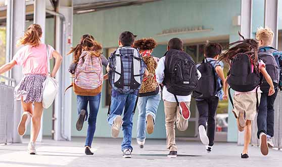 Skolplikt – skolors ansvar för skolpliktens genomförande