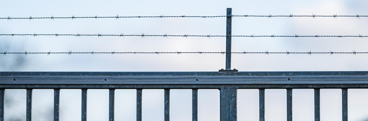 Påföljder och påföljdsval i praktiken